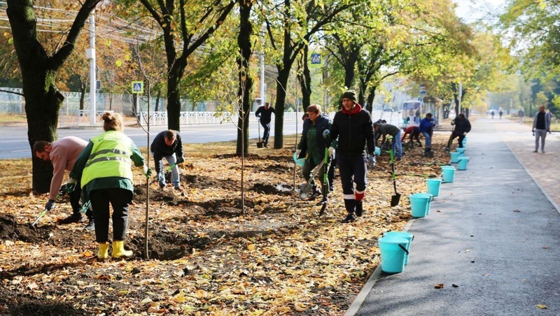 Более 1 тыс. деревьев высадят в Ставрополе до конца года