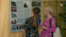 Ставрополье готовится к запуску программы «Земский работник культуры» в 2025 году