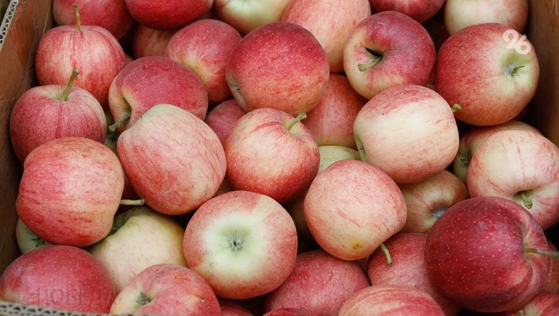 Более 25 тыс. тонн яблок находится в плодохранилищах Ставрополья
