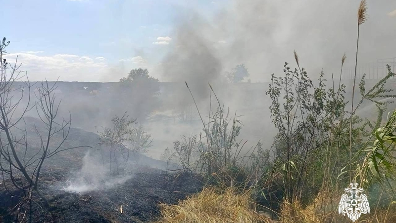Пожар на площади в 1 га потушили в Шпаковском округе 