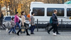 Эксперт прокомментировал последствия для пассажиров разлада между перевозчиками в Ставрополе