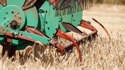 Более 90% агропредприятий на Ставрополье нарушают требования по охране труда