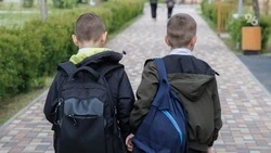 Глава Ставрополья уделяет внимание поддержке детей – политолог Склянчук