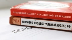 Следователи возбудили уголовное дело по факту массовой драки в Предгорье