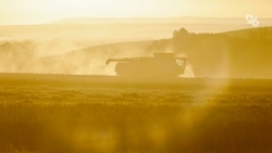 Авиацию собираются привлечь к борьбе с засухой на Ставрополье