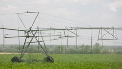 Свыше 6 тыс. га площадей охватят мелиорацией на Ставрополье — губернатор