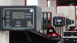 До 95,5 рубля поднялась средняя цена на АИ-98 на Ставрополье к маю