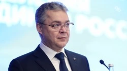 Послание главы Ставрополья задаёт приоритеты работы на год — экономист Калюгина