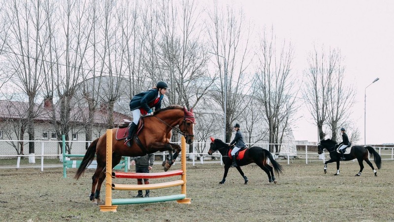 Ставропольский пони-клуб приглашает детей на занятия по верховой езде