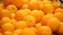 Чемпионат по чистке мандаринов проведут в Железноводске 