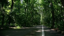 Грибник нашёл подозрительное устройство в лесу на юге Ставрополья