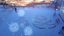 Смешарика и ёлку нарисовал на снегу дворник пятигорской школы