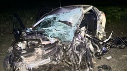 Водитель и пассажир легковушки погибли в ДТП в Петровском округе