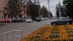 Минтруд Ставрополья пояснил, положен ли многодетным семьям бесплатный автомобиль