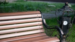 Общественную территорию комплексно благоустроили в Петровском округе