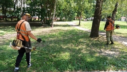 Около 400 тыс. кв. м территории Ставрополя очистили от сорняков