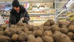  Каждый ставрополец съедает в год около 55,4 кг картофеля 