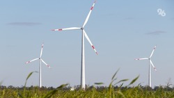 Новую ветряную электростанцию построят в Труновском округе благодаря инвестпроекту