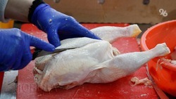 В куриной продукции от производителя из Невинномысска обнаружили вредные для людей препараты