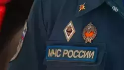 Пожар среди сухостоя на 700 кв. м тушат в Невинномысске