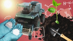 Сохранить почву здоровой: как развивается устойчивое земледелие на Ставрополье