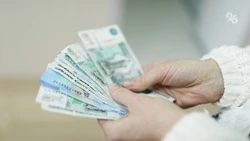 Часть льгот и соцвыплат назначают автоматически без заявлений — депутат Госдумы