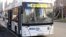 Прокуратура Ставрополья защитила права льготников при проезде в общественном транспорте