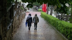 Новая неделя на Ставрополье начнётся с дождей