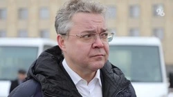 Губернатор Владимиров оперативно реагирует на ЧП — ставропольский общественник