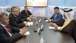 Владимир Владимиров: Ставрополье наращивает сотрудничество с Катаром