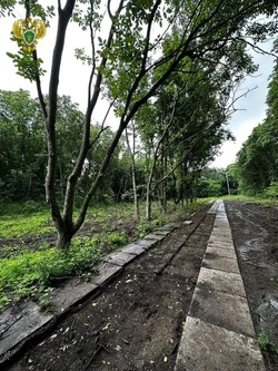 Железноводский застройщик выплатит 3,9 млн рублей за вырубку леса под санаторий