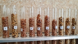 Перед осенней посевной на Ставрополье проверят 347,5 тыс. тонн семян 