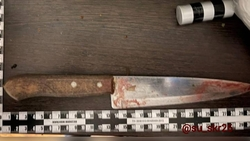 Несовершеннолетнюю девушку обвиняют в убийстве матери на Ставрополье