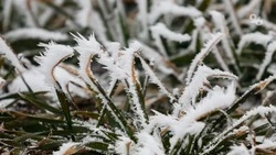 На Ставрополье объявили штормовое предупреждение из-за заморозков