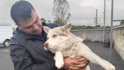 Житель Осетии трогательно встретился со своим псом, увезённым в питомник