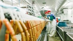 Цифровые технологии в АПК будут развивать «Ростелеком» и крупный российский производитель продуктов питания