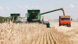 Аграрии семи округов Ставрополья завершили уборку зерна