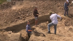 Генетики обнаружили у аланской девочки из могильника в КБР свиную рожу