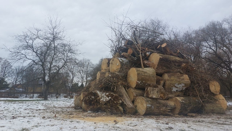 В Ессентуках на Крещение планируют развести самый большой костёр на КМВ