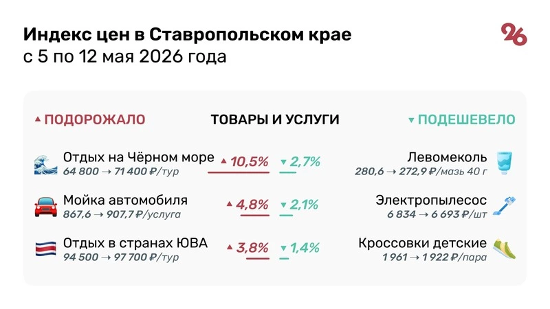 infographic