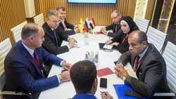Эксперт оценил перспективы развития экономических связей между Ставропольем и Египтом