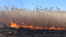 В первые тёплые дни весны пожарные Ставрополья 32 раза выезжали на тушение травы и камыша  