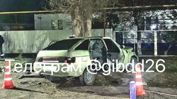 В Будённовском округе автомобиль врезался в дерево — пострадали четыре человека