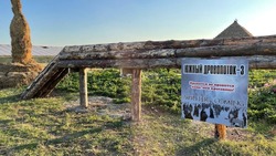 «Южный дровопоток» ставропольского фермера обогреет замерзающую Европу