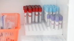 Астраханские медики спасли 22 пациентов после укусов каракуртов