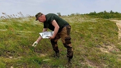 Диких животных в заповедниках Ставропольского края вакцинировали от бешенства