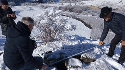 Археологи Ингушетии обнаружили ранее неизвестный склеп с костными останками