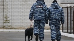 Сообщения о минировании семи соцобъектов в Ставрополе оказались ложными