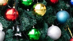 Украшение ёлки возглавляет список любимых новогодних традиций ставропольцев