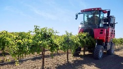 Почти 40 млн рублей на покупку спецтехники получили виноградари Ставрополья